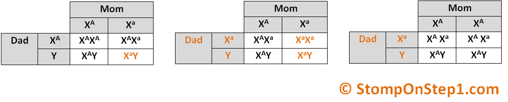 Genetic Inheritance Autosomal Dominant X linked Recessive Mitochondrial Disease Stomp On Step1