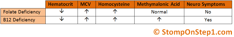 Folate & B12 Deficiency, Megaloblastic Anemia | Stomp On Step1